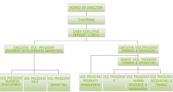 Executive Management Structure
